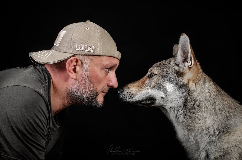 собака, анималистика, портрет, студия Brutalityphoto preview