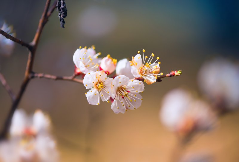 Предчувствие тепла фото превью