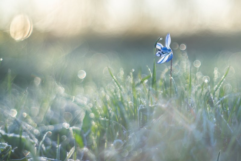 Холодное утро.photo preview