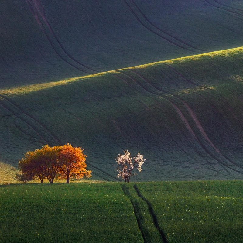 моравия, чехия, moravia, czechczech, моравия, южная моравия, south moravian Spring view.photo preview