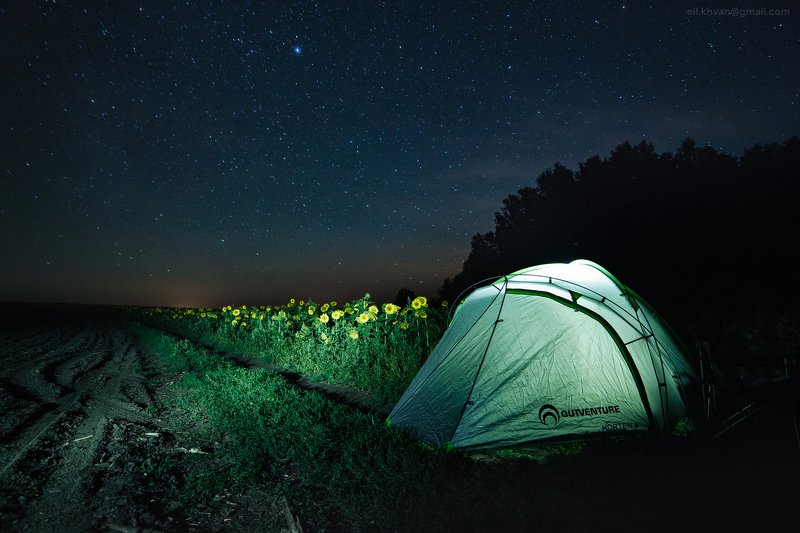 Тула, млечный путь, ночная съёмка, подсолнухи Август в Тульской областиphoto preview