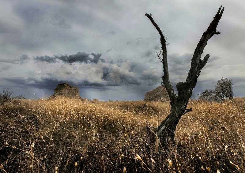 iran rain is comingphoto preview