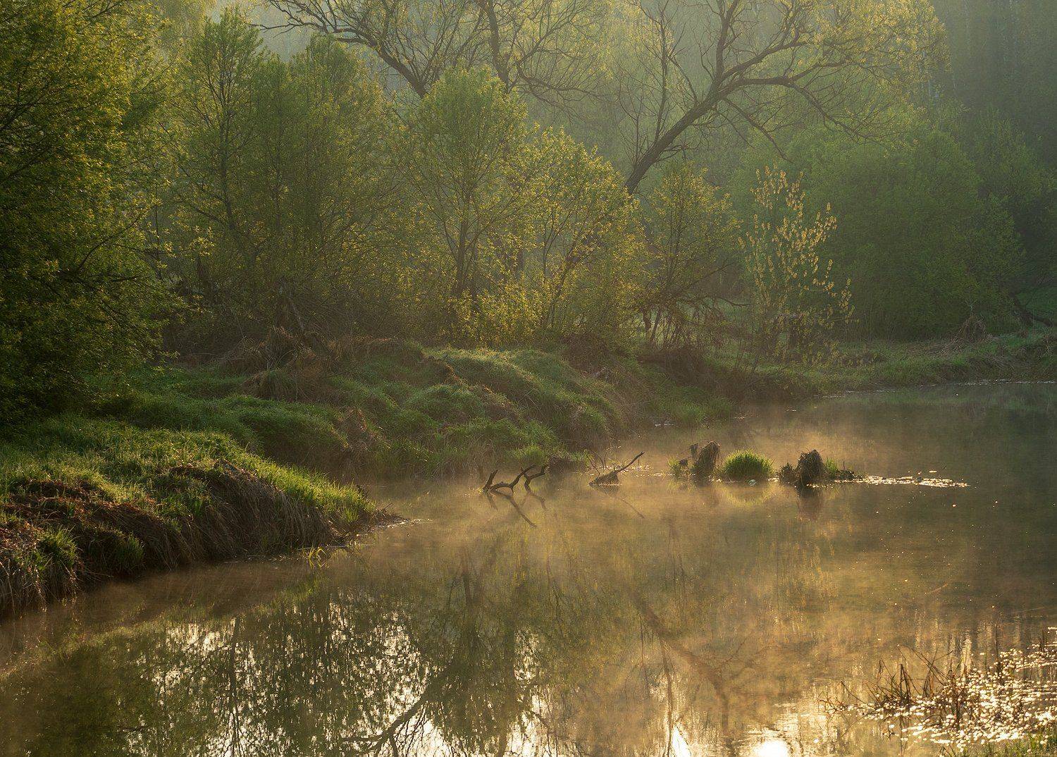 утро туман весна май свет, Марина Брыдня