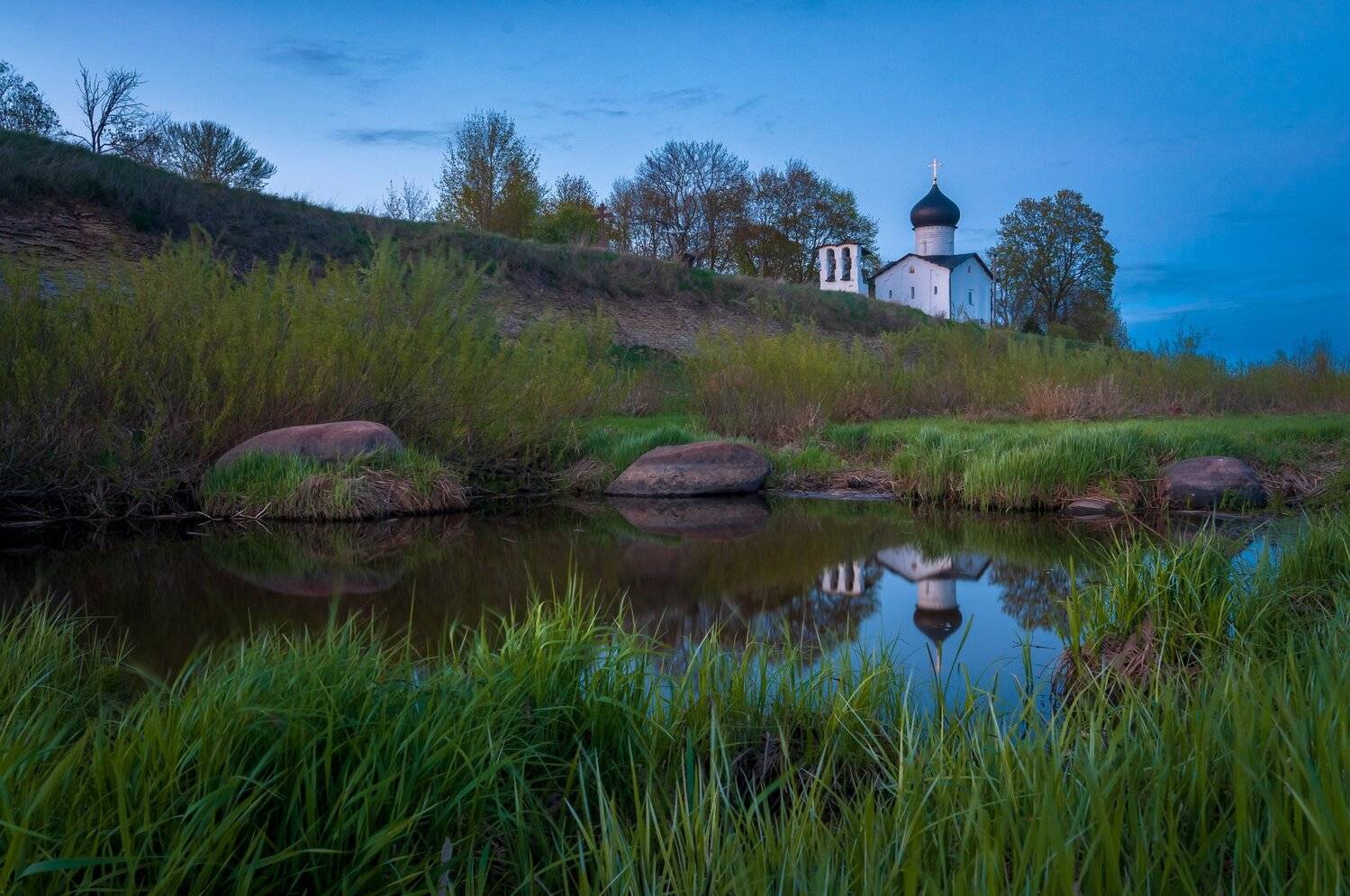 Выбуты.. Автор: Roman Dmitriev псков, Roman Dmitriev