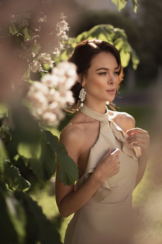 Каштанphoto preview