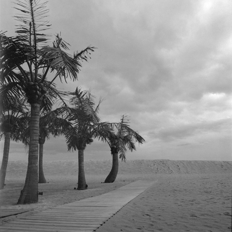 beach, black, white, sand, perspective, medium, format, 6x6, hasselblad Sand Wavephoto preview