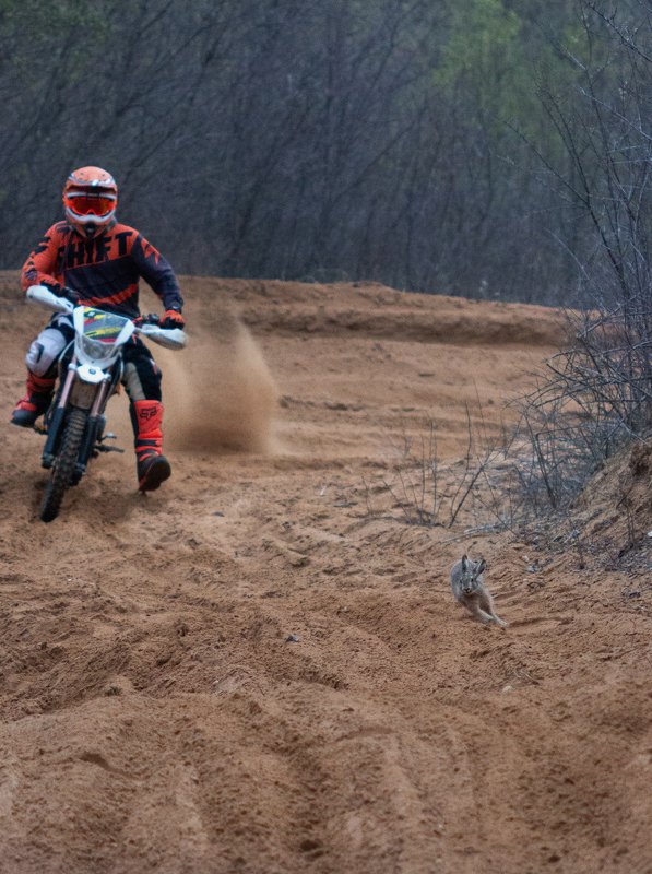 Кто быстрее?photo preview