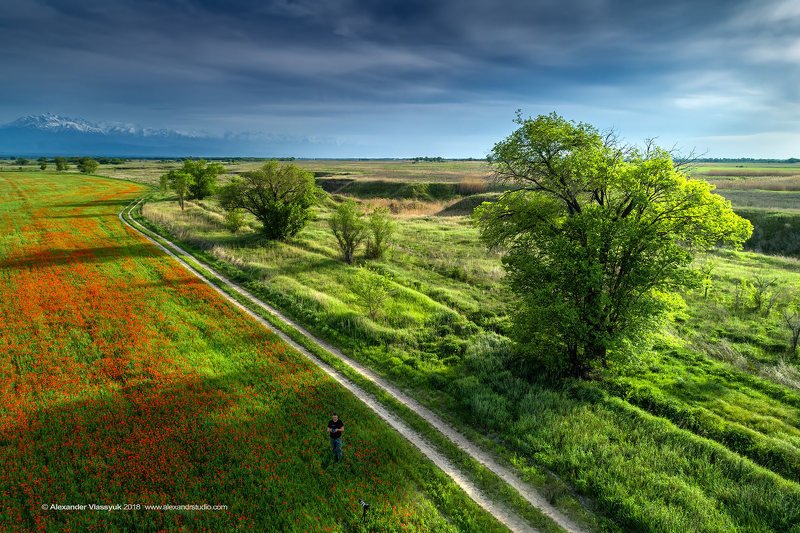 макиphoto preview