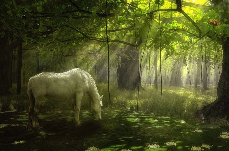 horse ***photo preview