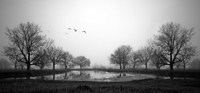 Пора на югphoto preview