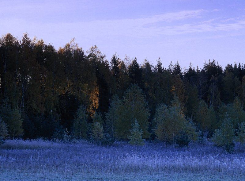 утро.лес.заморозки.солнце. Солнце просыпается...photo preview