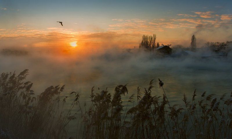 город, парк, зима, река, кубань ЕЩЁ ОДИН ВЗГЛЯД НА ЖИЗНЬ КУБАНЬ РЕКИphoto preview