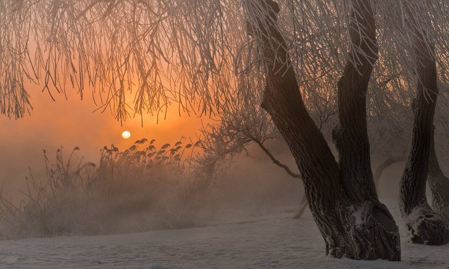 город, парк, зима, река, кубань , утро, ФЁДОР