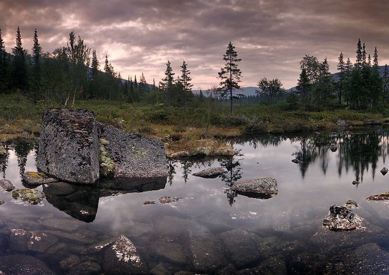 fotodl Тундраphoto preview