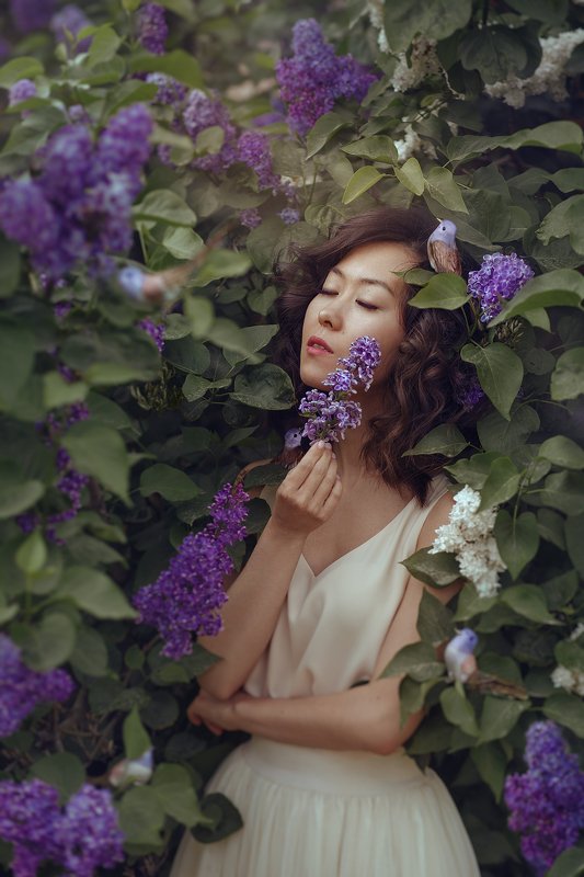 Птичкиphoto preview