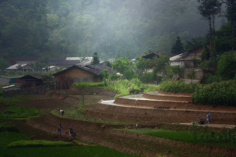 vietnam, Деревенские будни. Северный Вьетнам.photo preview