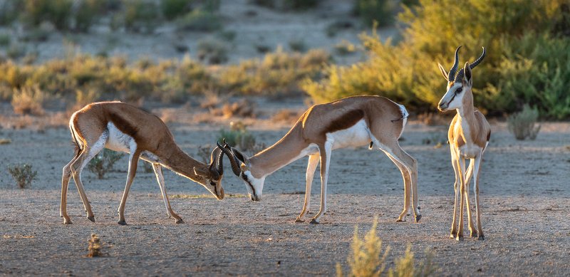 Классический сюжет из жизни)photo preview