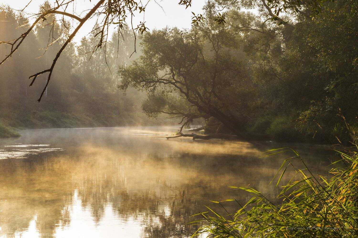Волшебное утро на Истре. Автор: Александр Кыров истра, туман, сентябрь, Александр Кыров