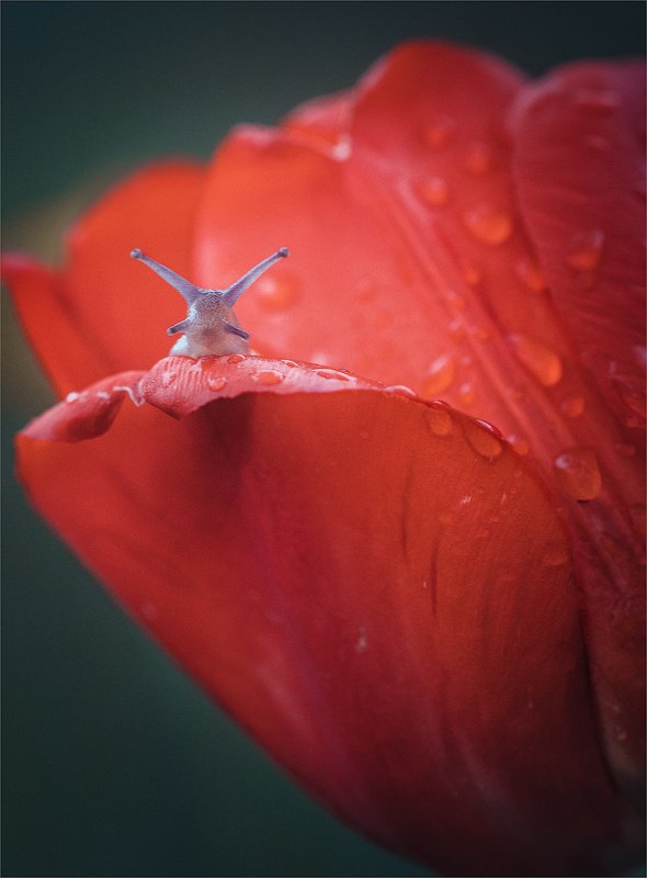 Здрасьте!) Что опять дождь?photo preview