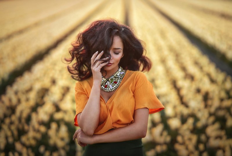 волосы.девушка,поля тюльпанов,тюльпаны,желтые тюльпаны,желтые цветы,портрет,женщина,цветы,нидерланды,поле,закат Ветер в волосахphoto preview