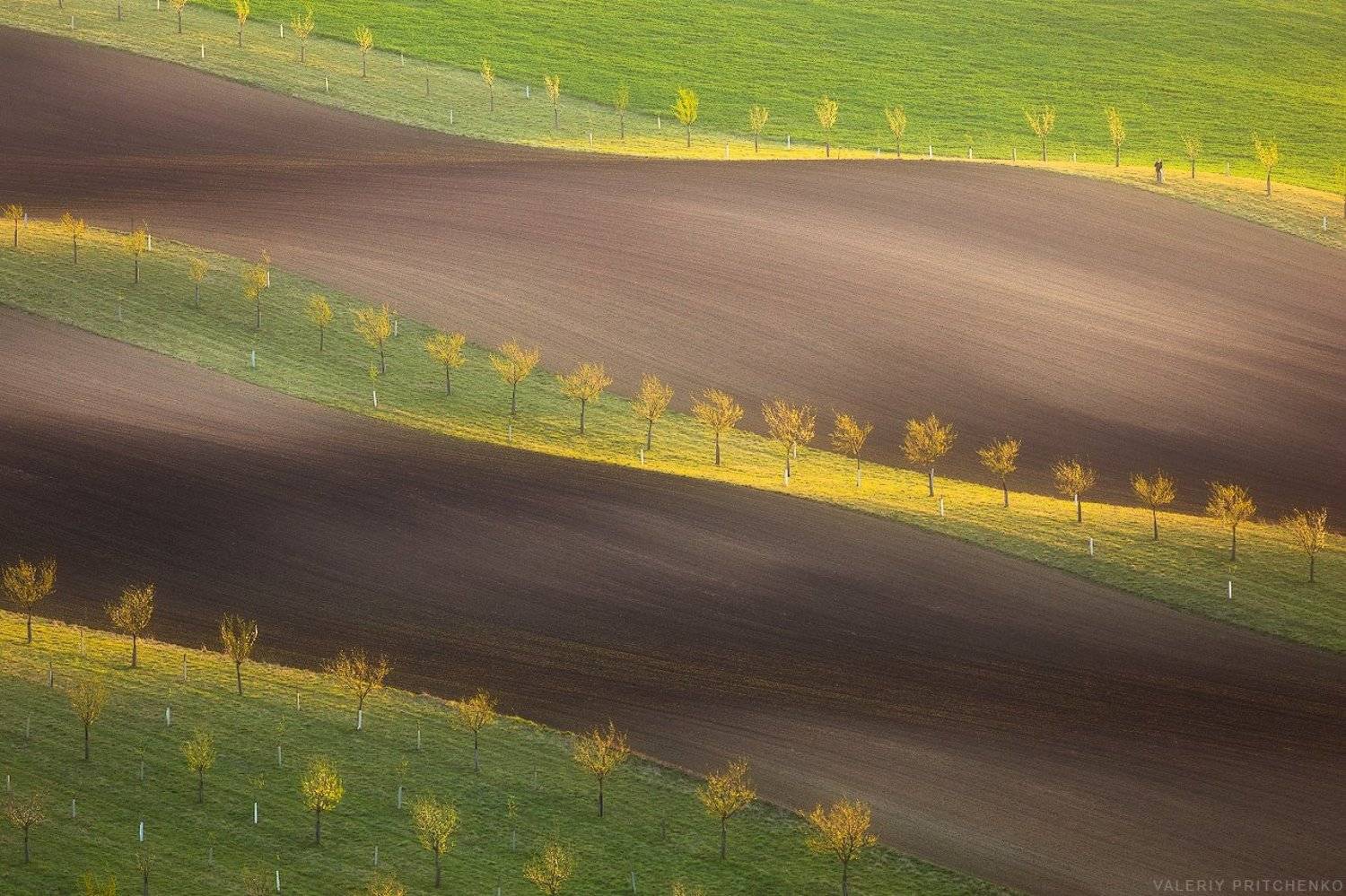 Фотограф. Автор: Валерий Притченко , Валерий Притченко