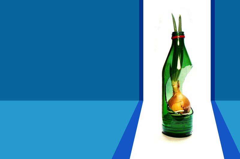 прорастаниеphoto preview