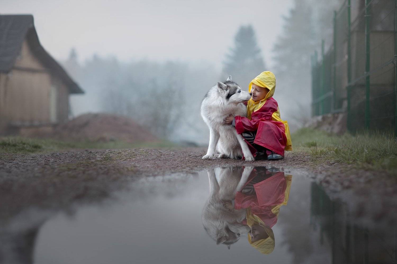, Светлана Писарева