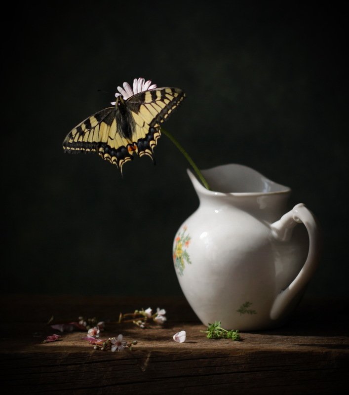 натюрморт, бабочка. цветок, кувшинчик с бабочкойphoto preview