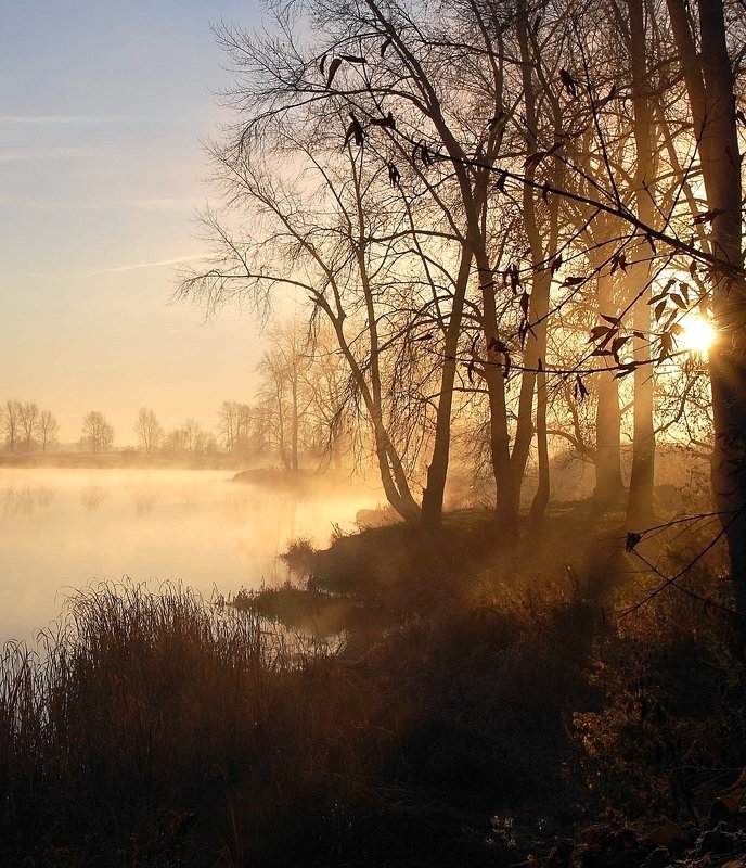 утроphoto preview