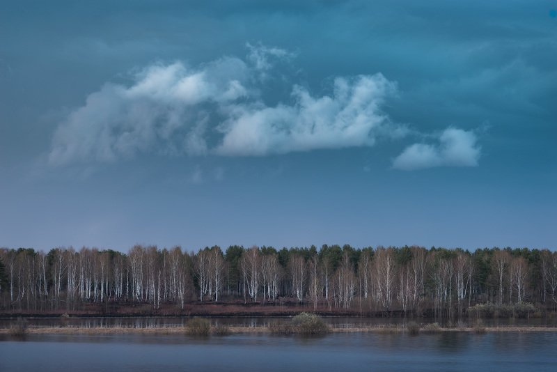 Неказистая природа севера веснойphoto preview