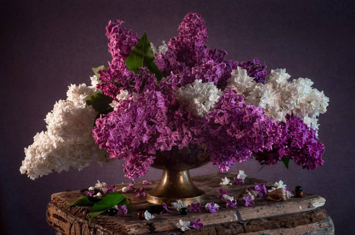 весна, сирень, букет, аромат, нежность, вестник весны, май, Анна Иванова