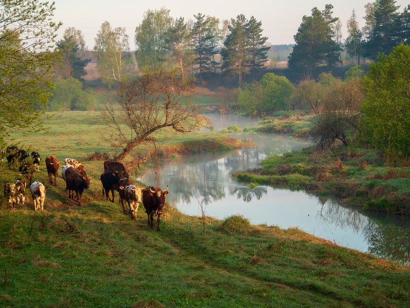 Однажды майским утром...photo preview