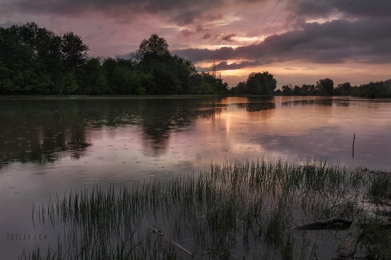 кубань, май, весна, таманский полуостров, темрюк Кубанское весеннее 2019photo preview
