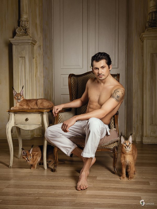 кот, каракал, портрет, танцор Кот&Cats фото превью