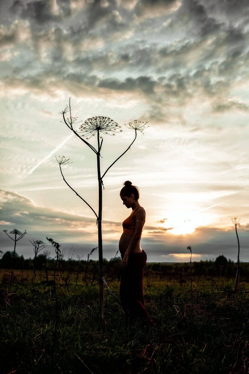 Автор: Катерина Киреева , Катерина Киреева