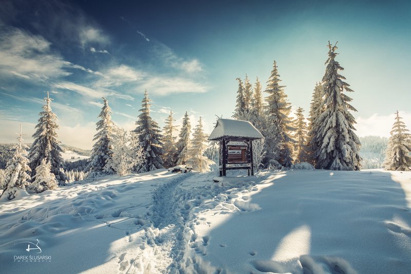 Turbaczphoto preview