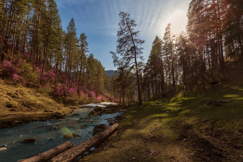 Алтай, Чемалphoto preview