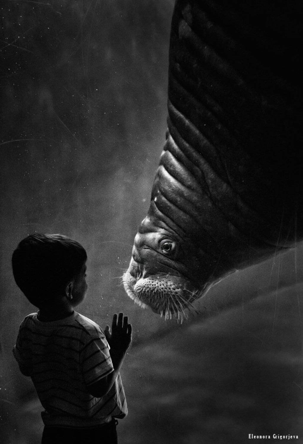 Контакт. Автор: Eleonora Grigorjeva , Eleonora Grigorjeva