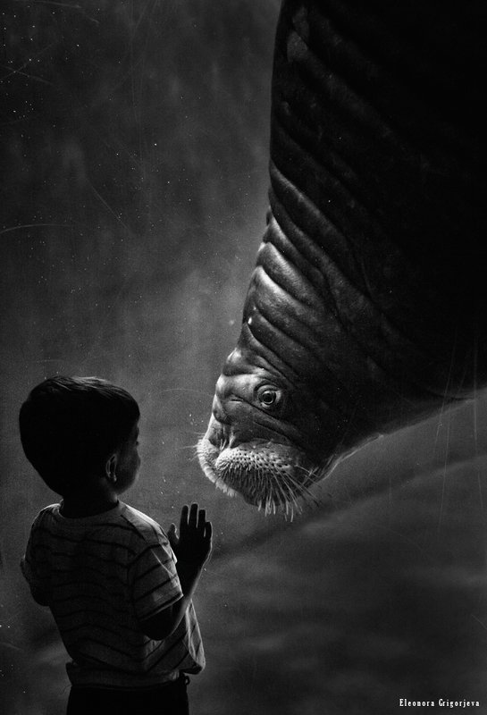 Контактphoto preview