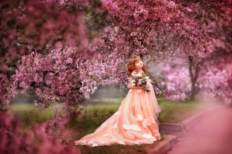 Розовый садphoto preview