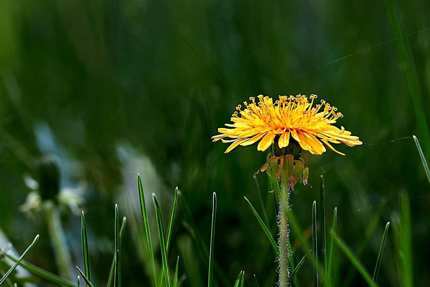 башкирия, южный урал, урал, орск, новотроицк, талкас, гадельша, сибай, зилаир. баймак, юлдыбаево, озеро талкас, водопад, водопад гаделша, пейзаж, лето, осень, качурин, зима, весна, ковыль, Качурин Алексей