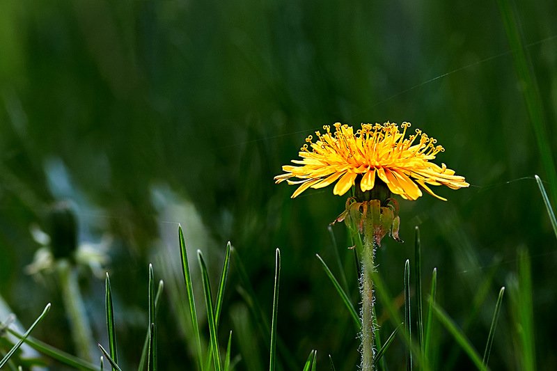 башкирия, южный урал, урал, орск, новотроицк, талкас, гадельша, сибай, зилаир. баймак, юлдыбаево, озеро талкас, водопад, водопад гаделша, пейзаж, лето, осень, качурин, зима, весна, ковыль \
