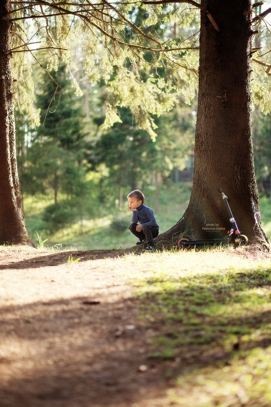 лето, лес, жара, мальчик, ребенок, солнце,природа,самокат, отдых Спрятался в тениphoto preview