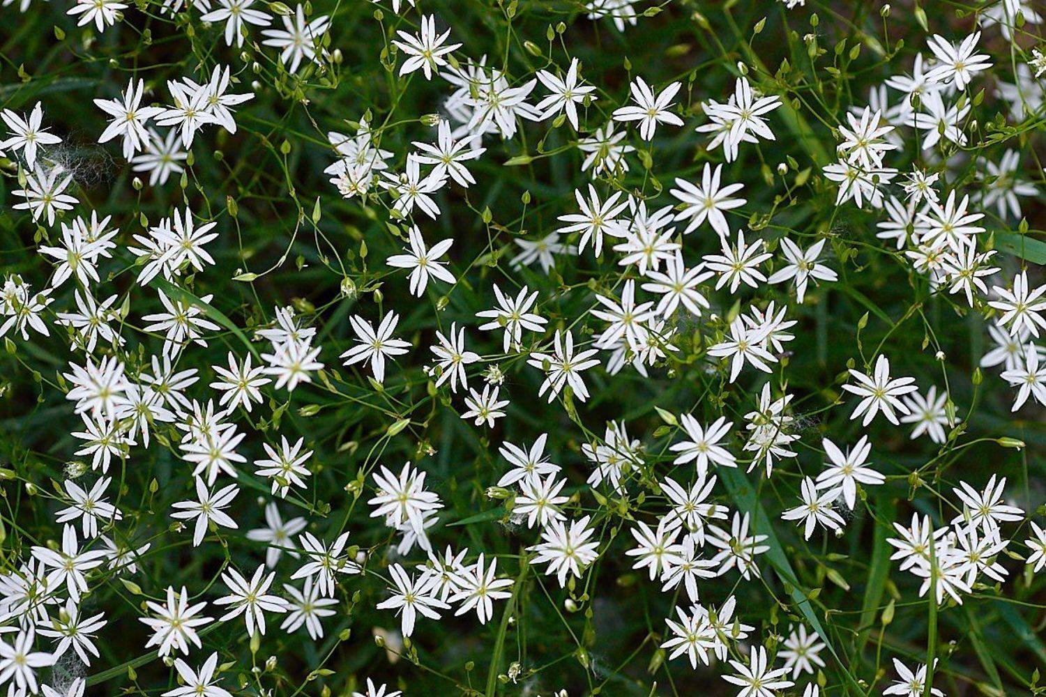 башкирия, южный урал, урал, орск, новотроицк, талкас, гадельша, сибай, зилаир. баймак, юлдыбаево, озеро талкас, водопад, водопад гаделша, пейзаж, лето, осень, качурин, зима, весна, ковыль, Качурин Алексей