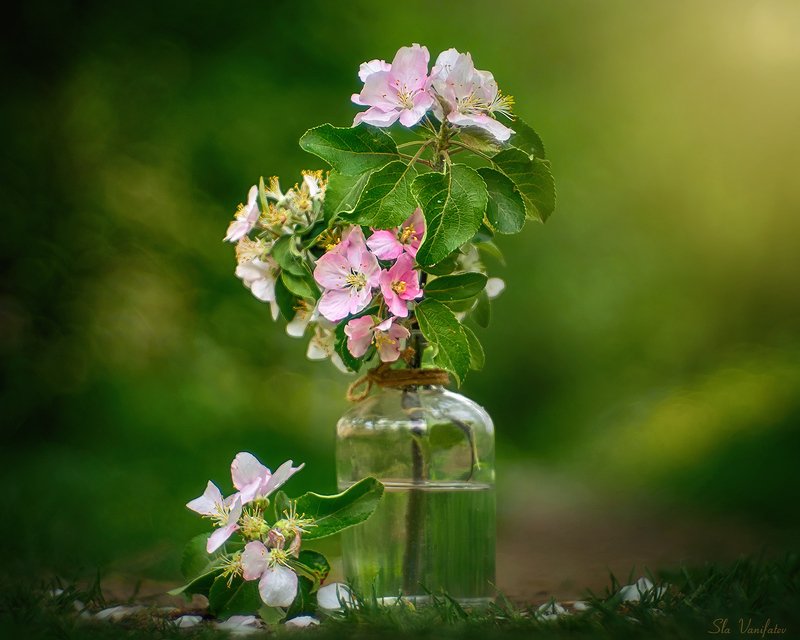 натюрморт Май...photo preview