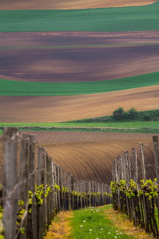 Moraviaphoto preview