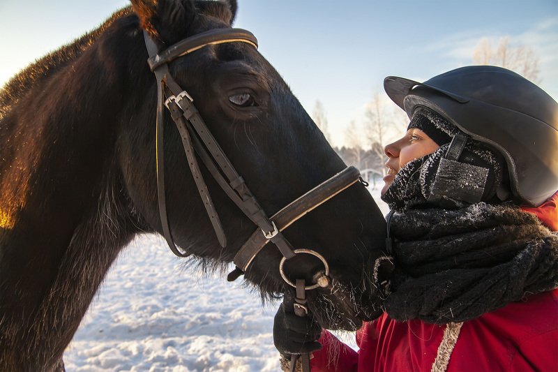 Зимние занятияphoto preview