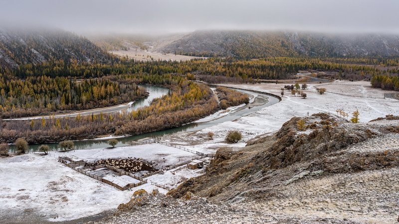 горы, алтай, горный алтай, утро, снег, река, чуя, таджилу, снег, ник васильев Холодное утро.photo preview