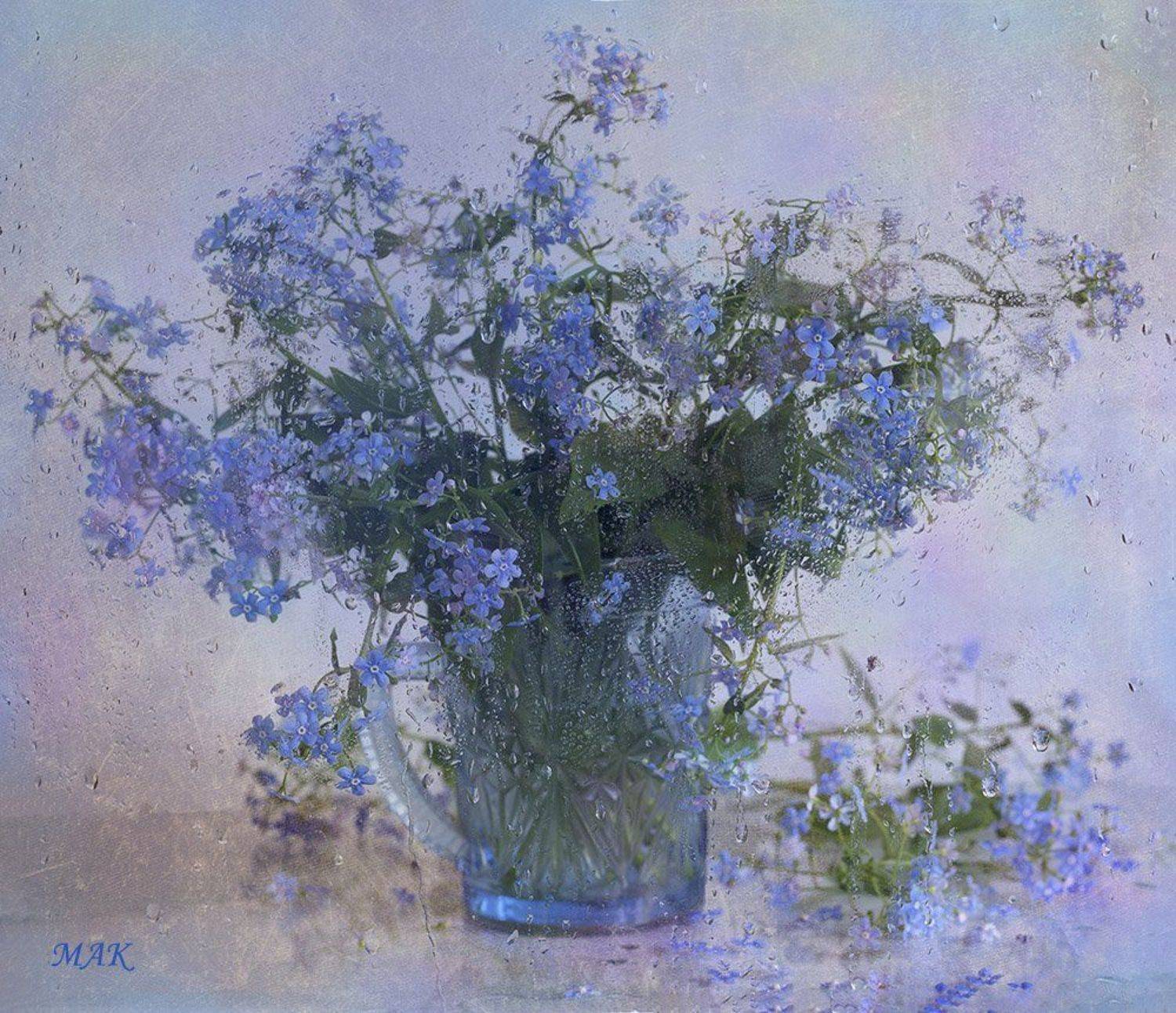 Незабудки. Автор: Марина Кулакова , Марина Кулакова