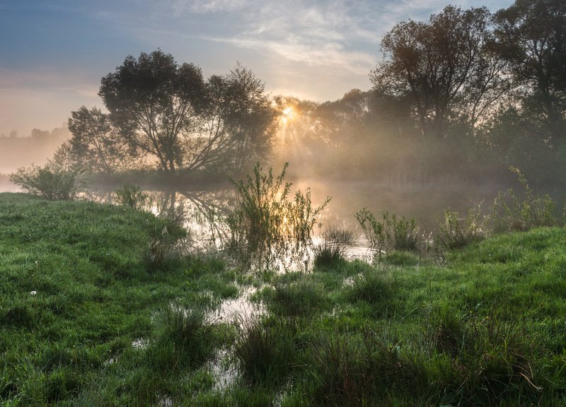 Майское утроphoto preview